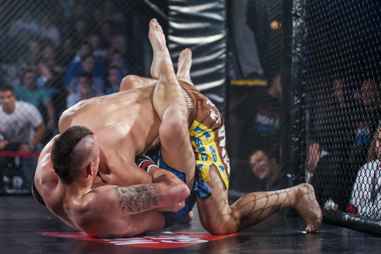 Hrvatska MMA liga (1)