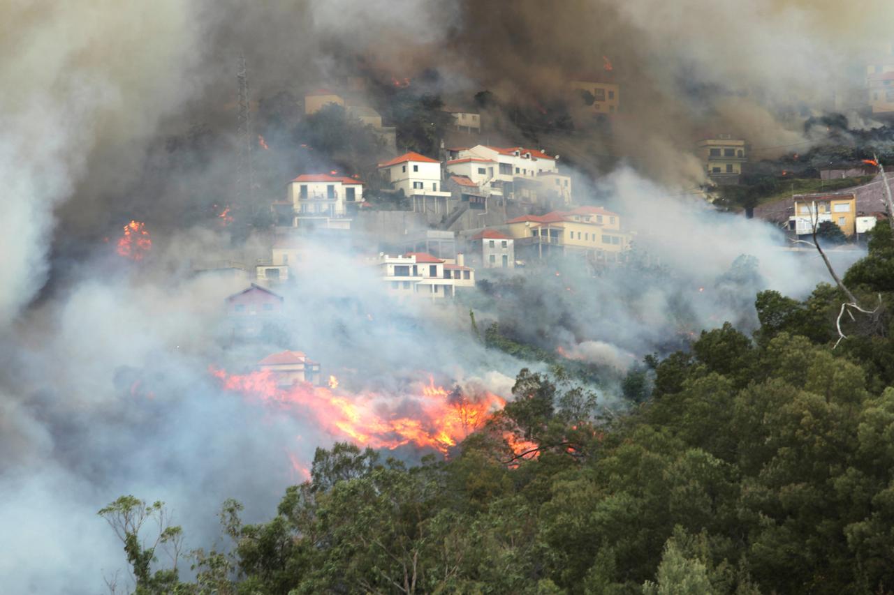 Madeira požar