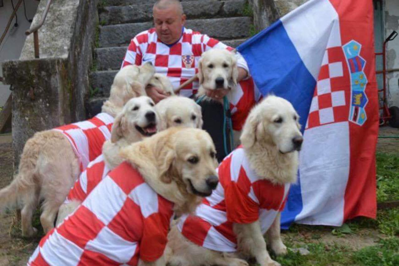 Vatreni navijači