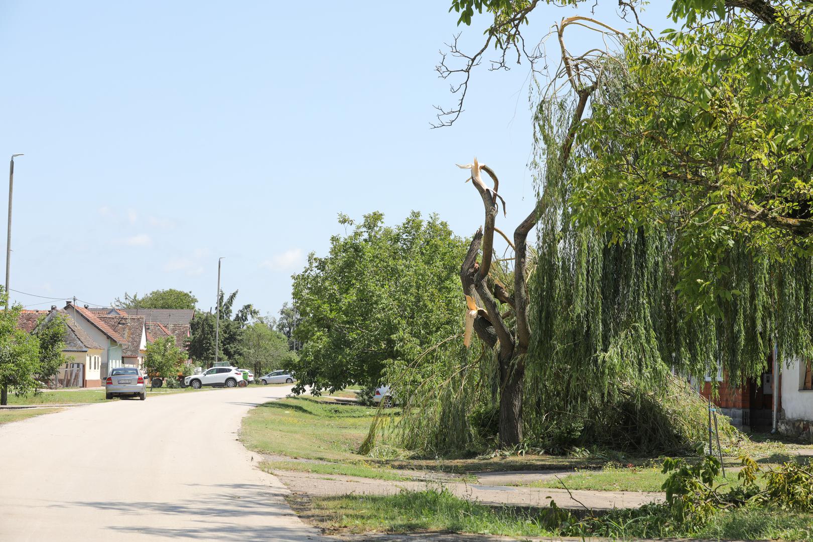 20.07.2023., Vinkovci - Gradiste, Andrijasevci i Cerna slavonska sela koja su jako strradala od posljednjeg olujnog nevremena. Stanovnici pokusavaju sanirati stetu. Photo: Dubravka Petric/PIXSELL