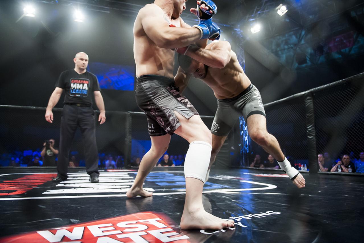 Hrvatska MMA liga (1)