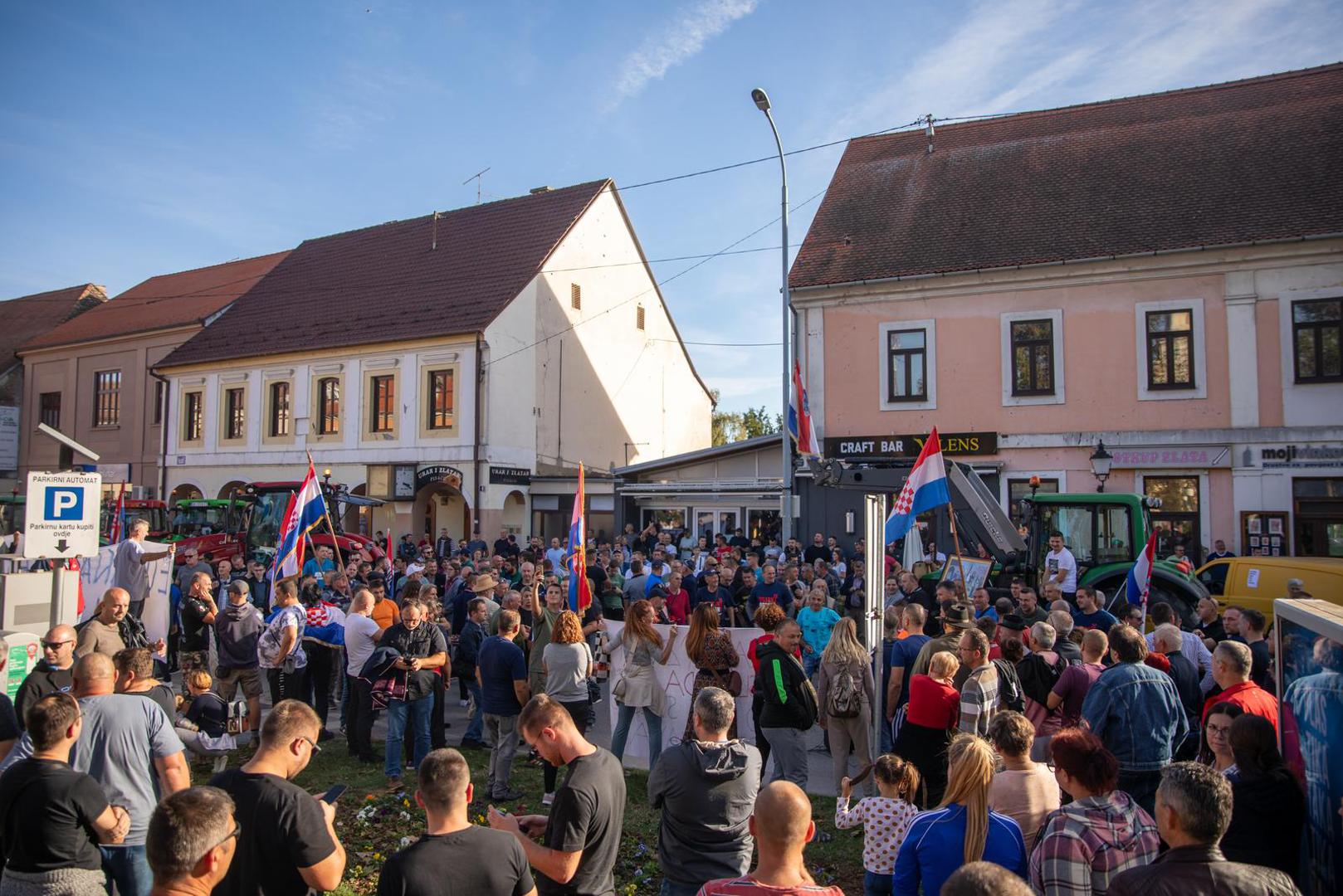 29.10.2023., Vinkovci - Prosvjed svinjogojaca u Vinkovcima zbog africke svinjske kuge. Photo: Borna Jaksic/PIXSELL