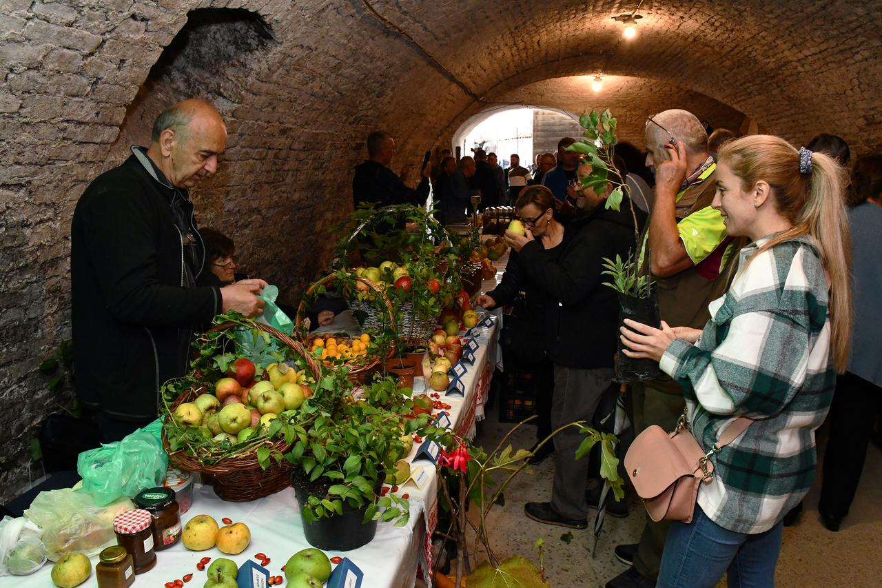Cernik: Izložba plodova i prerađevina starih sorti voća i povrća