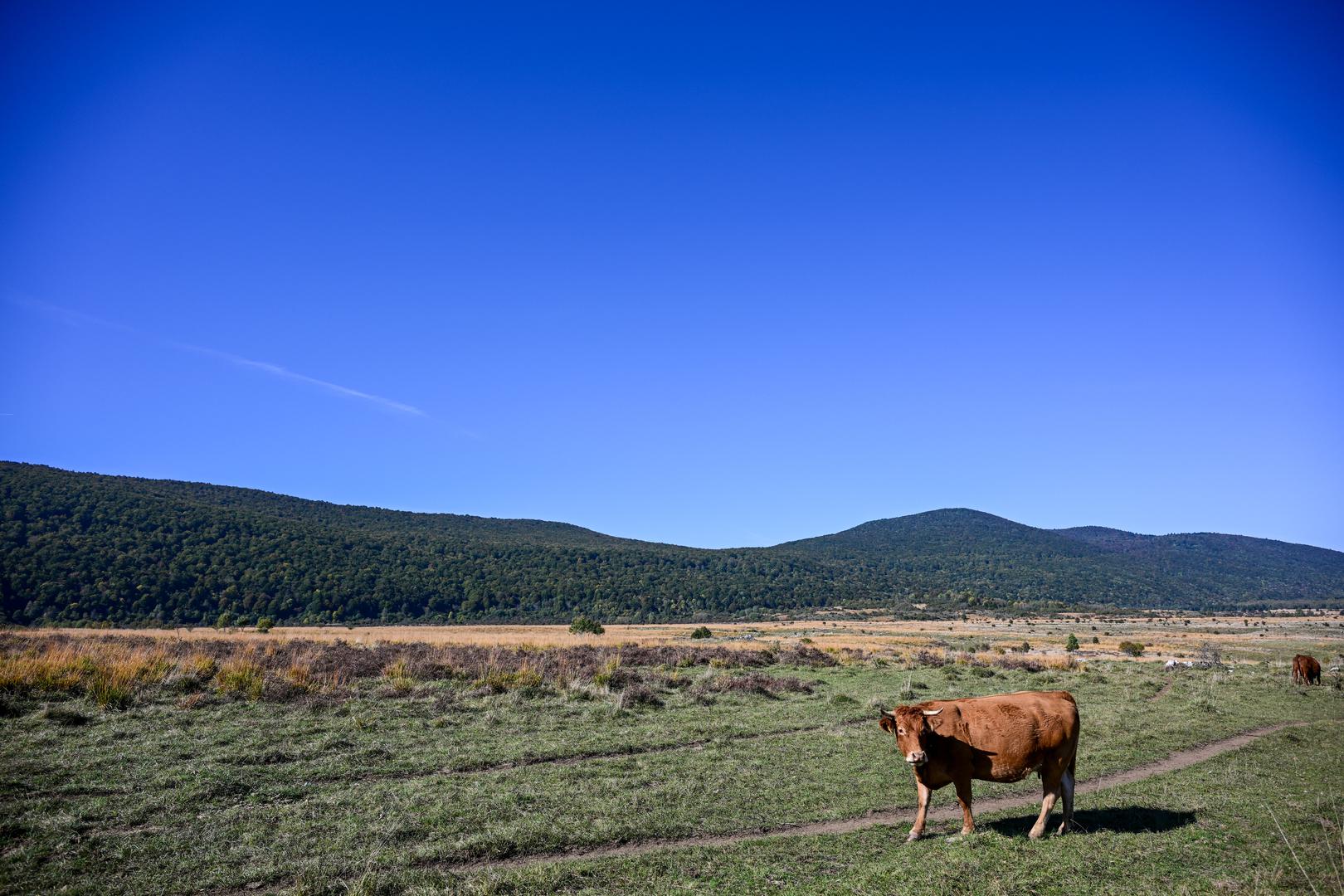 Ova županija, koja uključuje planinski masiv Velebit, nudi prekrasne krajolike i bogatu 