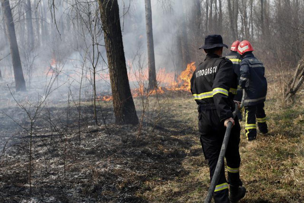 Požar Baranja (1)