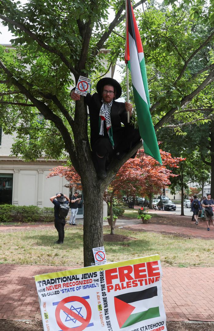 An ultra-Orthodox Jew sits in a tree holding an anti-Israel placard and a Palestinian flag, on the day Israeli Prime Minister Benjamin Netanyahu addresses a joint meeting of Congress, on Capitol Hill, in Washington, U.S., July 24, 2024. REUTERS/Umit Bektas Photo: UMIT BEKTAS/REUTERS