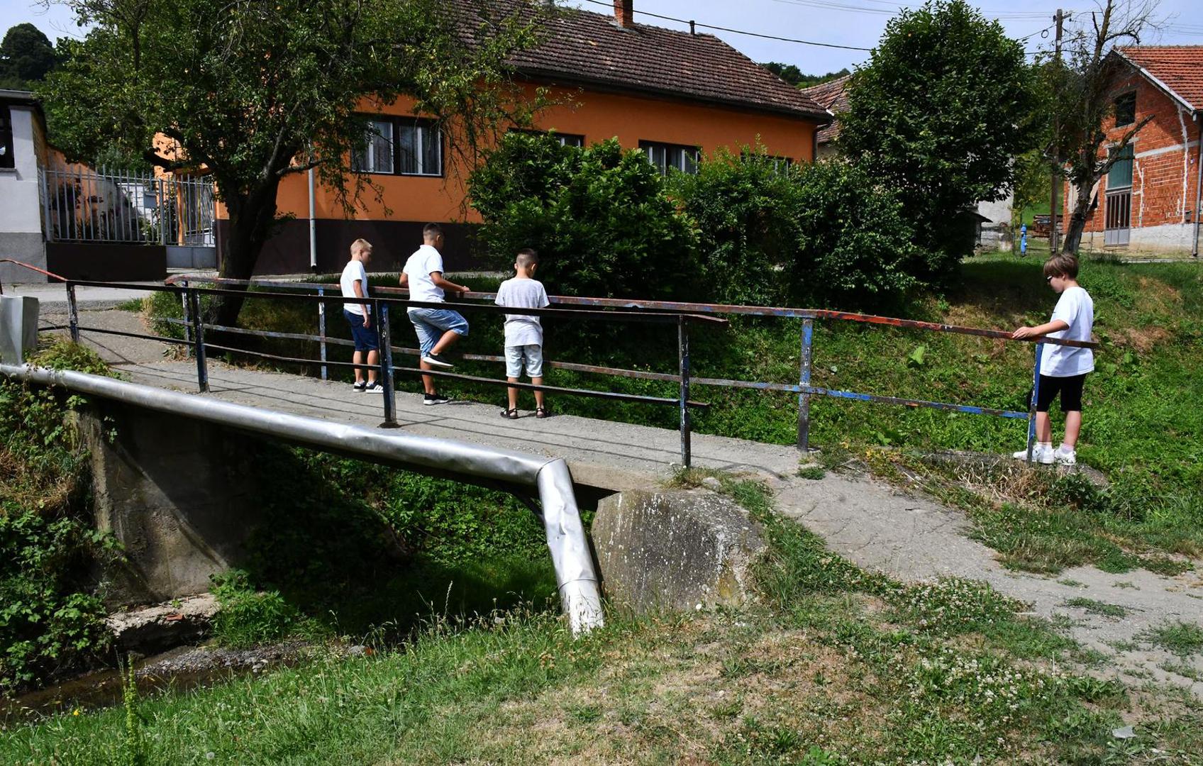 13.07.2023., Cernik - Djecaci iz Cernika spasili su psa Rex-a od sigurnog utapljanja Photo: Ivica Galovic/PIXSELL