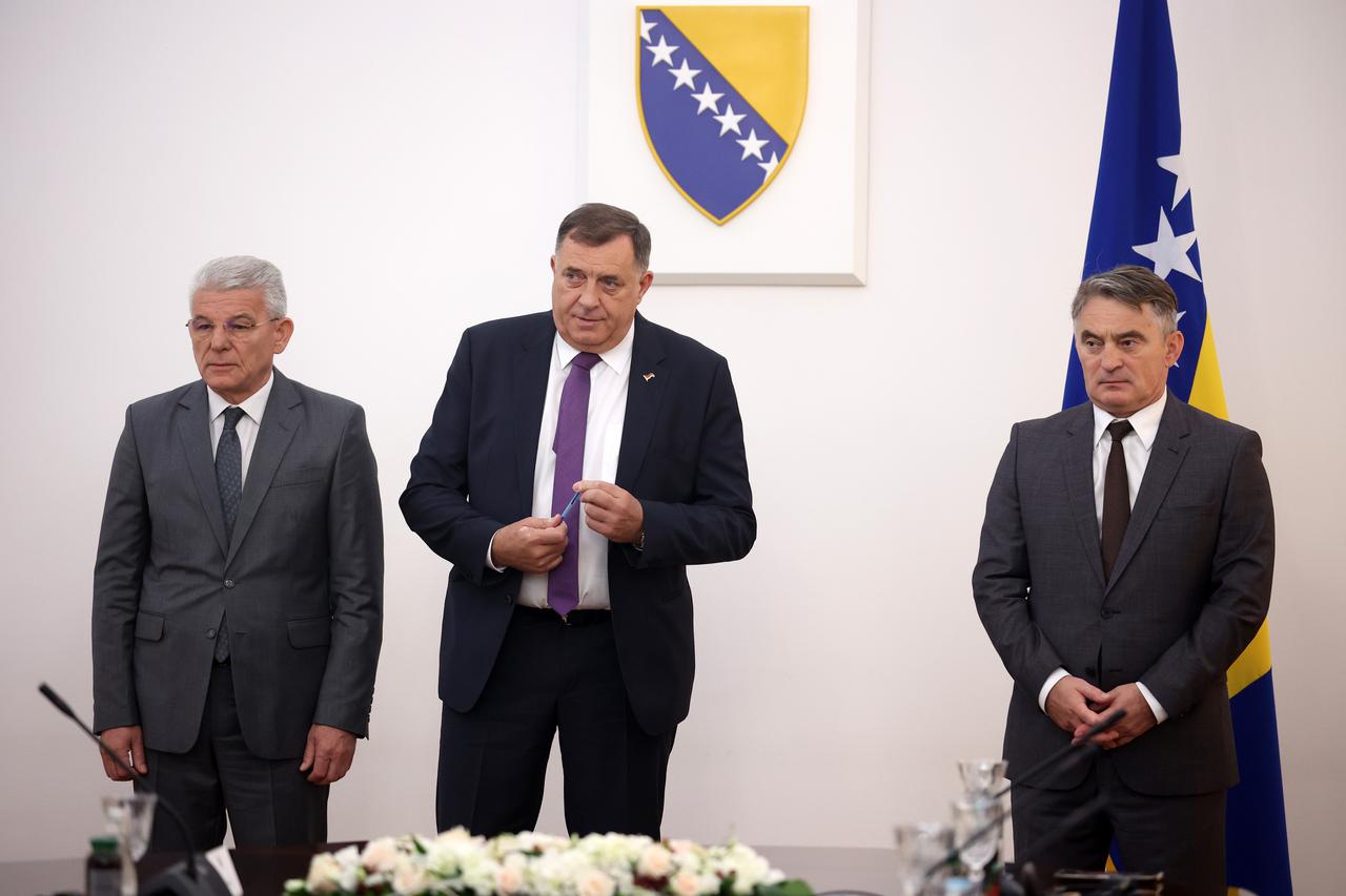 Europska delegacija Zelenih u Predsjedništvu BiH