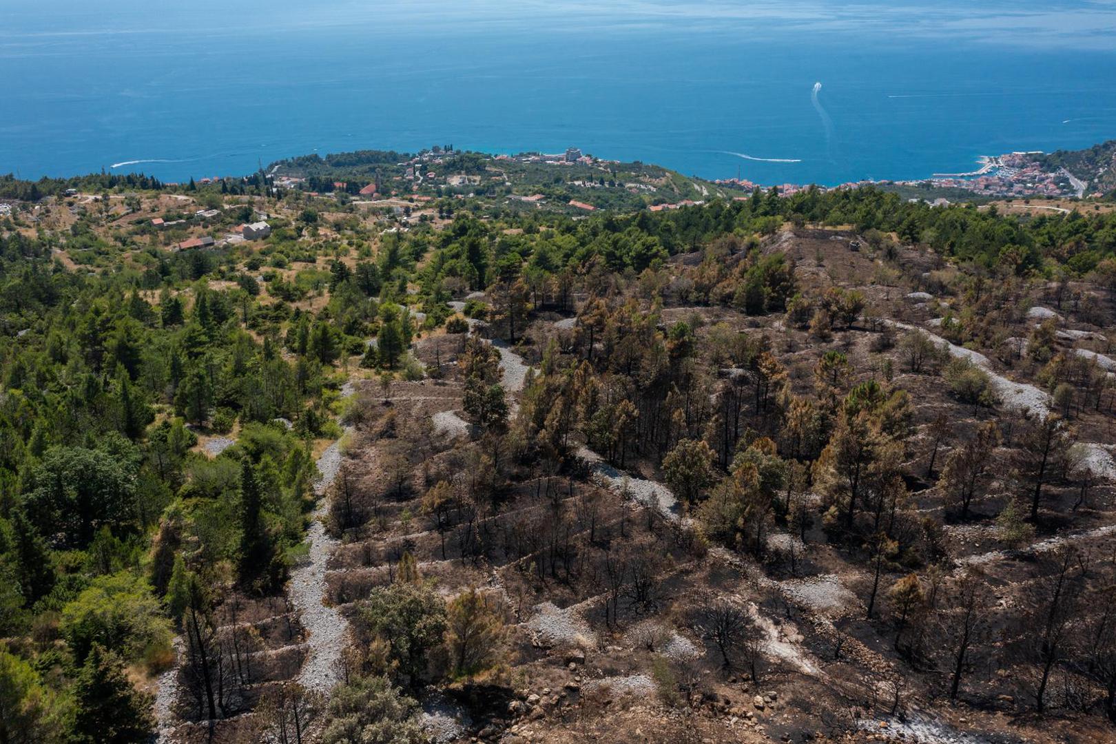 03.08.2024. Gornje Tucepi
Fotografije iz zraka opožarenog podrucja od Tucepi do Gornje Podgore i Parka prirode Biokovo. Photo: Matko Begovic/PIXSELL