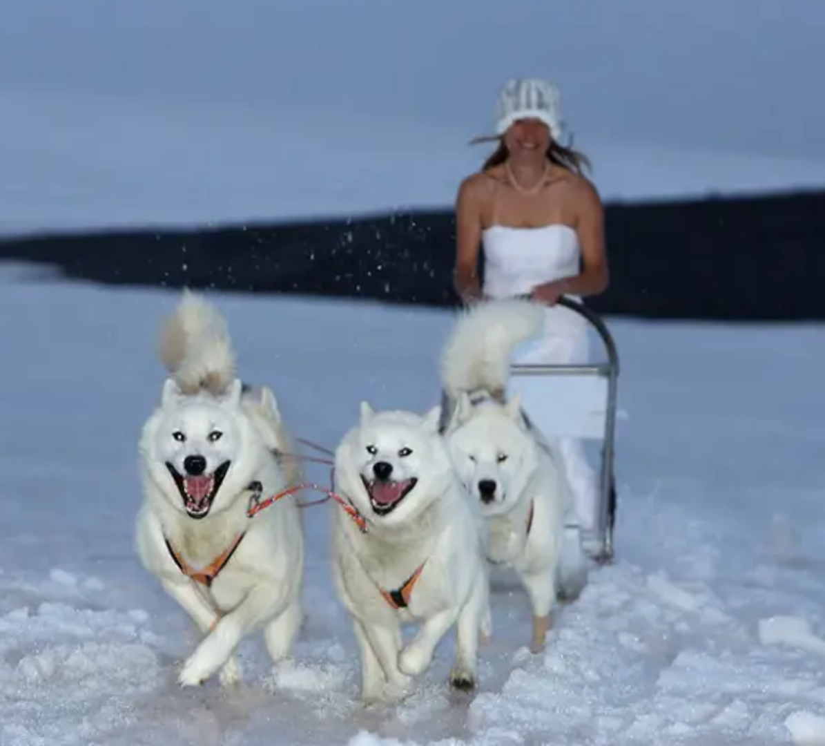 Jeff se bavi fotografijom, pa je 'okinuo' puno njih tijekom vikenda uoči vjenčanja. 