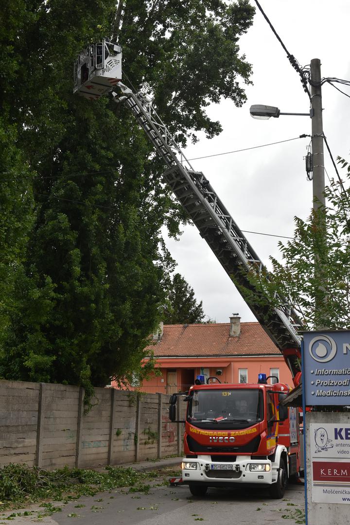 16.4.2024., Zagreb - U Moscenickoj ulici jak vjetar otrgnuo je nekoliko grana s jablana, pa vatrogasci uklanjaju grane koje bi mogle pasti na ulicu. Photo: Davorin Visnjic/PIXSELL