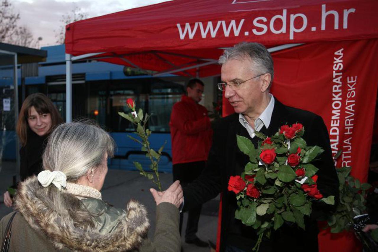 sdp ruže (1)