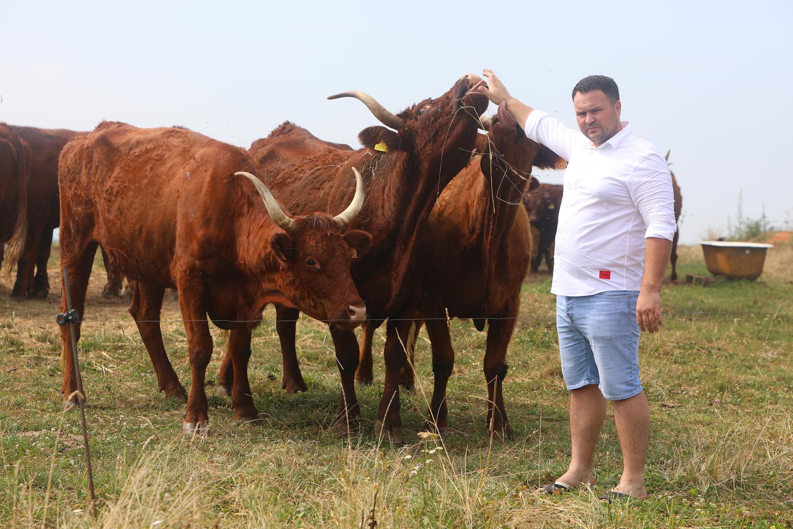 18.07.2023., Duga Resa - Izbor za najbolji OPG - Zlata vrijedan- Sajjoma, vl. Josip-Marko Butina na imanju uu Novigradu na Dobri bave se ratarstvom, stocarstvom i vinogradarstvom. Photo: Kristina Stedul Fabac/PIXSELL