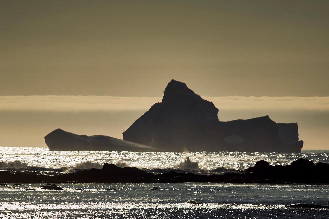 2024 Iceberg season in Newfoundland, Canada