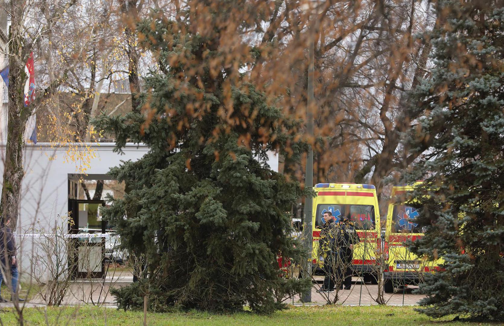 "Danas, 20, prosinca oko 9,50 sati mlađi muškarac je oštrim predmetom u odgojno-obrazovnoj ustanovi na području Prečkog ozlijedilo učiteljicu i nekoliko učenika. Napadač je pod nadzorom policije. Ozlijeđenim osobama pruža se liječnička pomoć", izvijestila je Policijska uprava zagrebačka.

