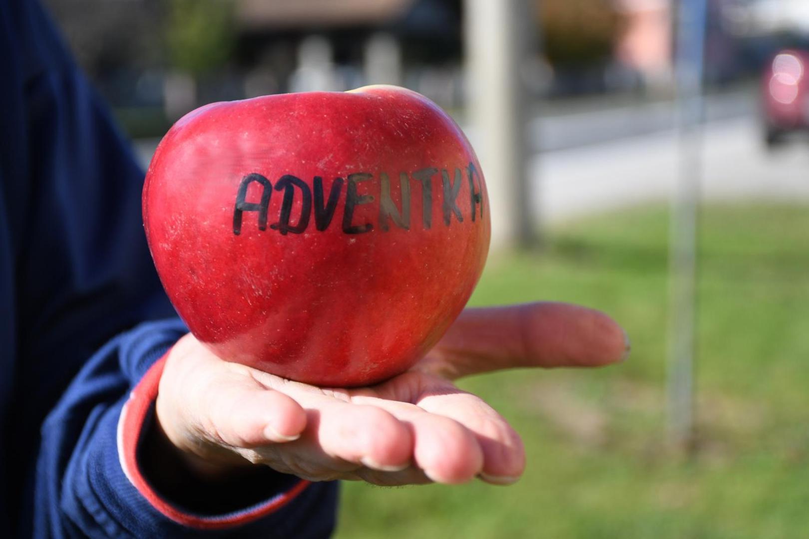 28.10.2020., Cvetkovec - Pavle Kovacic sa suprugom uzgaja i skuplja starinske domace sorte jabuka kojih u svom vocnjaku ima preko 800 vrsta. Posebno su ponosni na sortu Adventka
Photo:Damir Spehar/PIXSELL