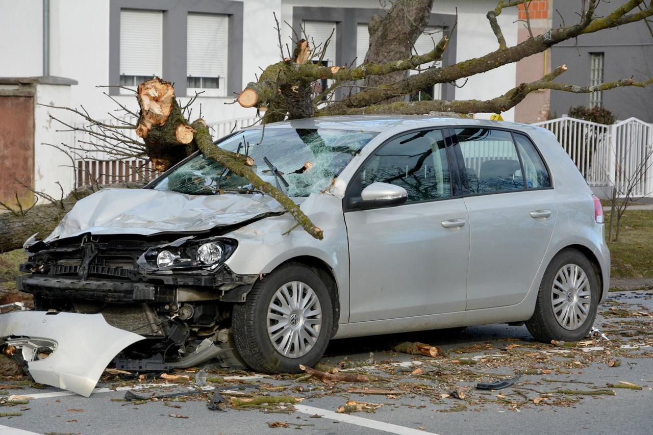 Stablo palo na automobil