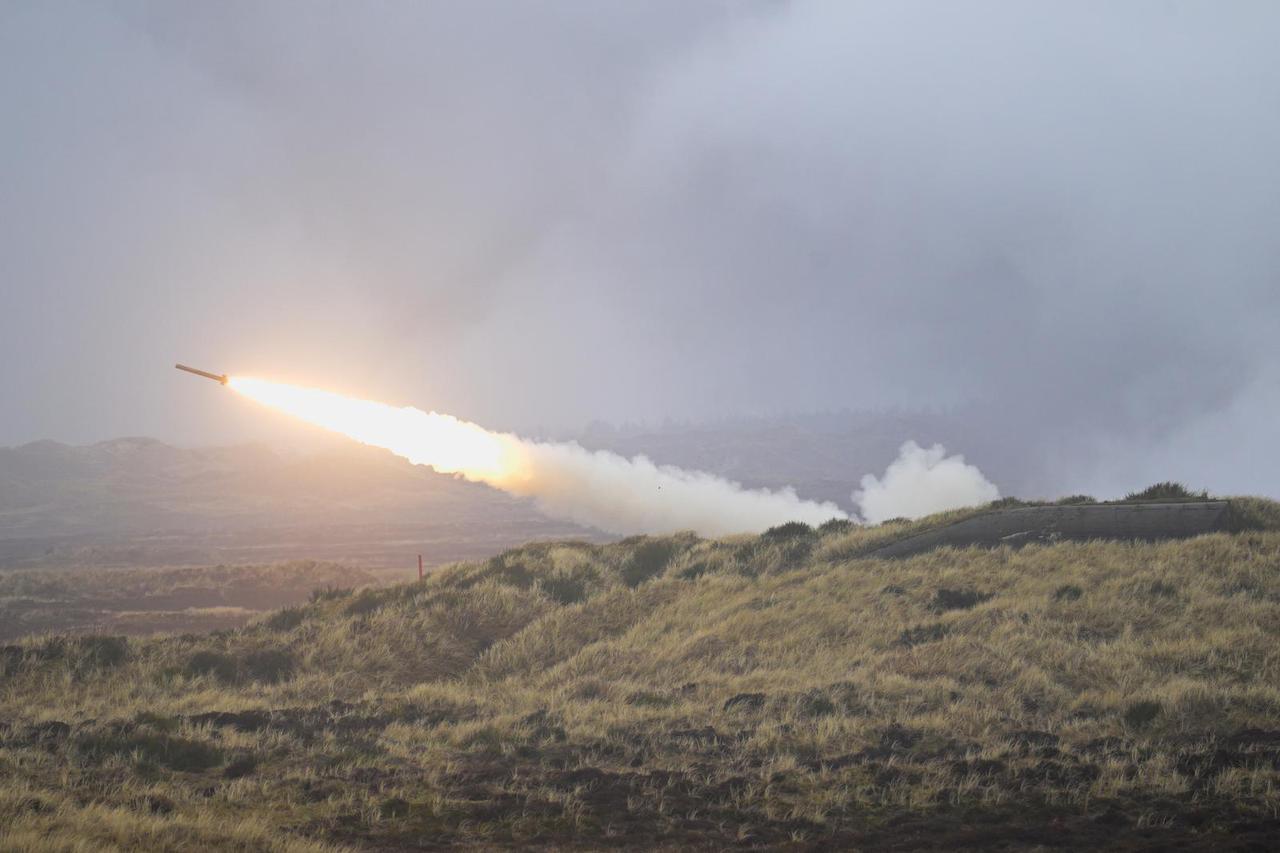 FILE PHOTO: Dynamic Front military exercise led by the United States takes place in a training area, in Oksbol