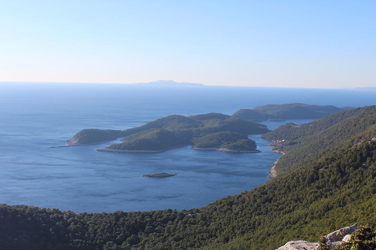 Mljet