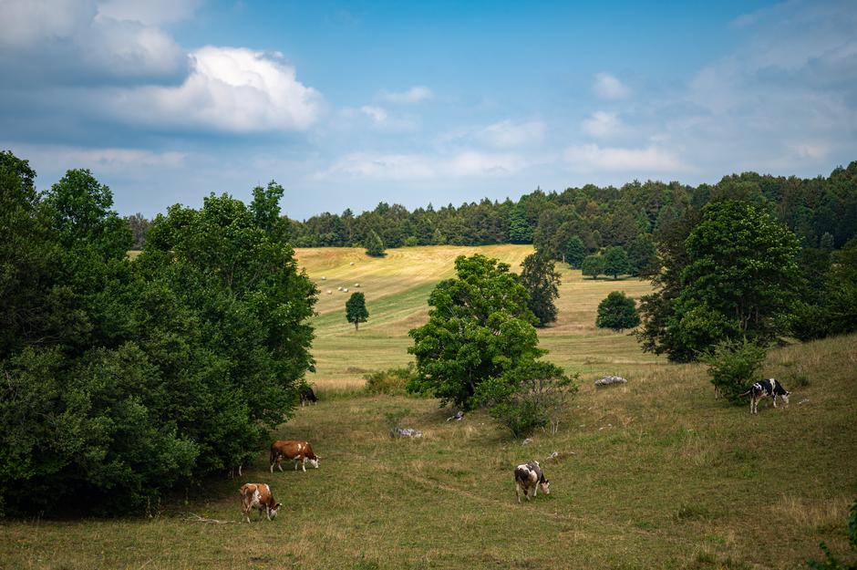 Gorski kotar