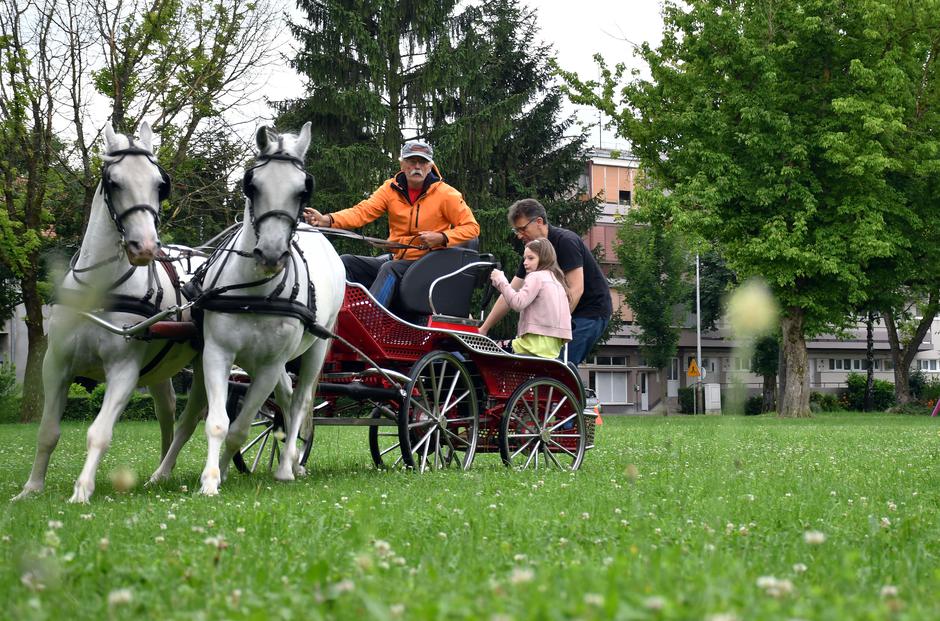 Slavonski Brod: U Osnovnoj školi Antun Mihanović organizirana prezentacija vožnje zaprega