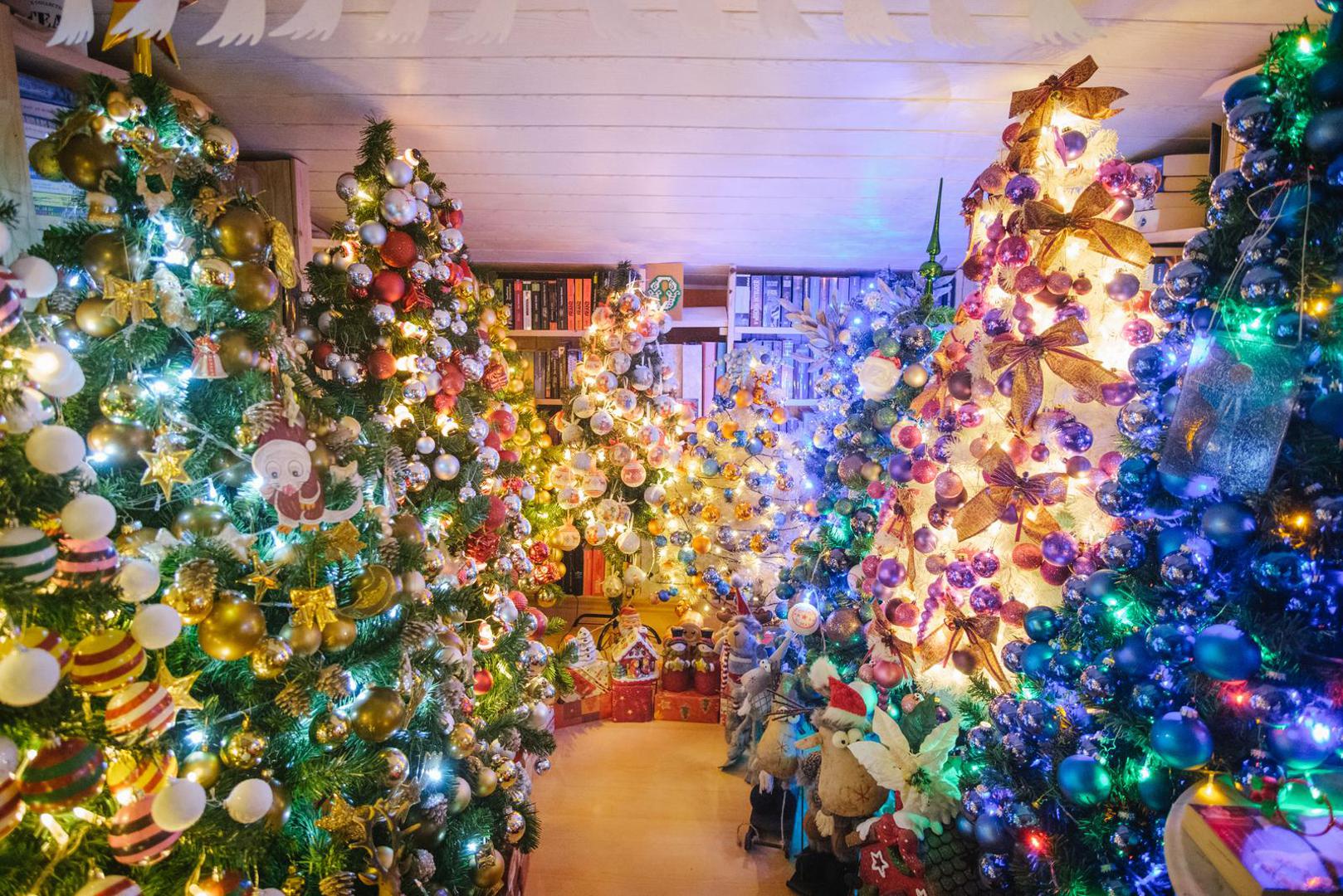 06 December 2021, Lower Saxony, Rinteln: Decorated Christmas trees stand in a house in Rinteln. Thomas Jeromin has set a new world record with 444 Christmas trees in his house. The record institute for Germany was there on Monday to check and confirmed the record. Photo: Ole Spata/dpa