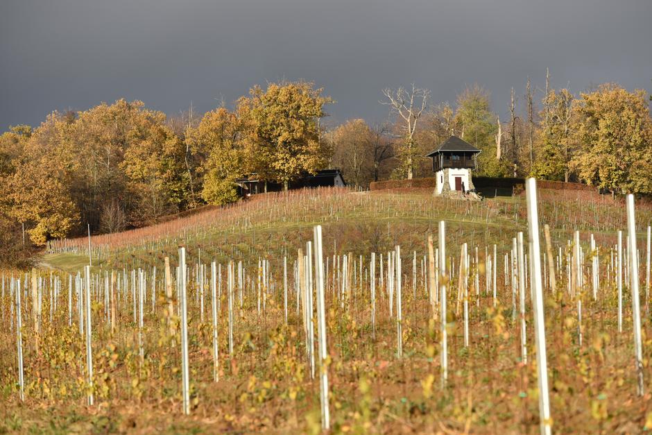 Turistička patrola - Kutjevo