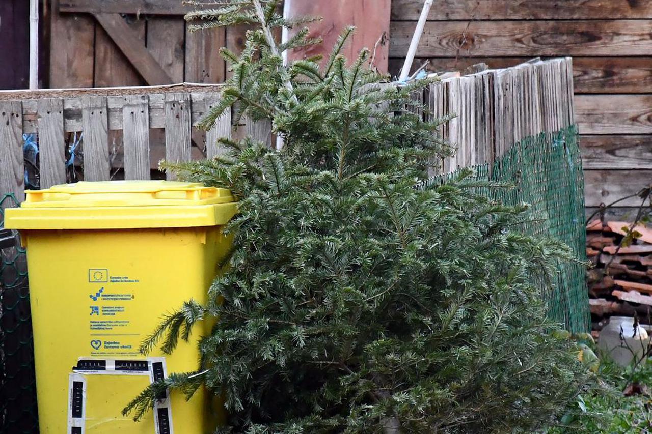 Slavonski Brod: Odbačena božićna drvca čekaju odvoz