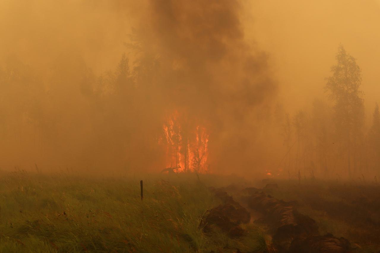 Fire burns in a forest in Yakutia