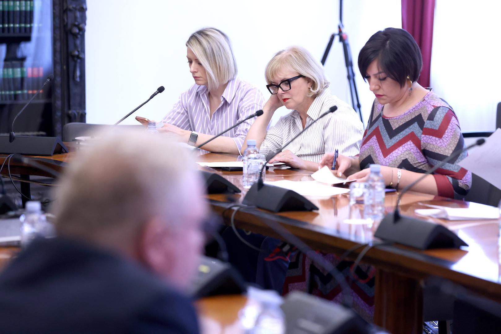 03.07.2024., Zagreb - U Saboru je odrzana 1. sjednica Odbora za ljudska prava i prava nacionalnih manjina na kojoj je raspravljano o imenovanjima clanova povjerenstva za rad po prituzbama. Photo: Patrik Macek/PIXSELL