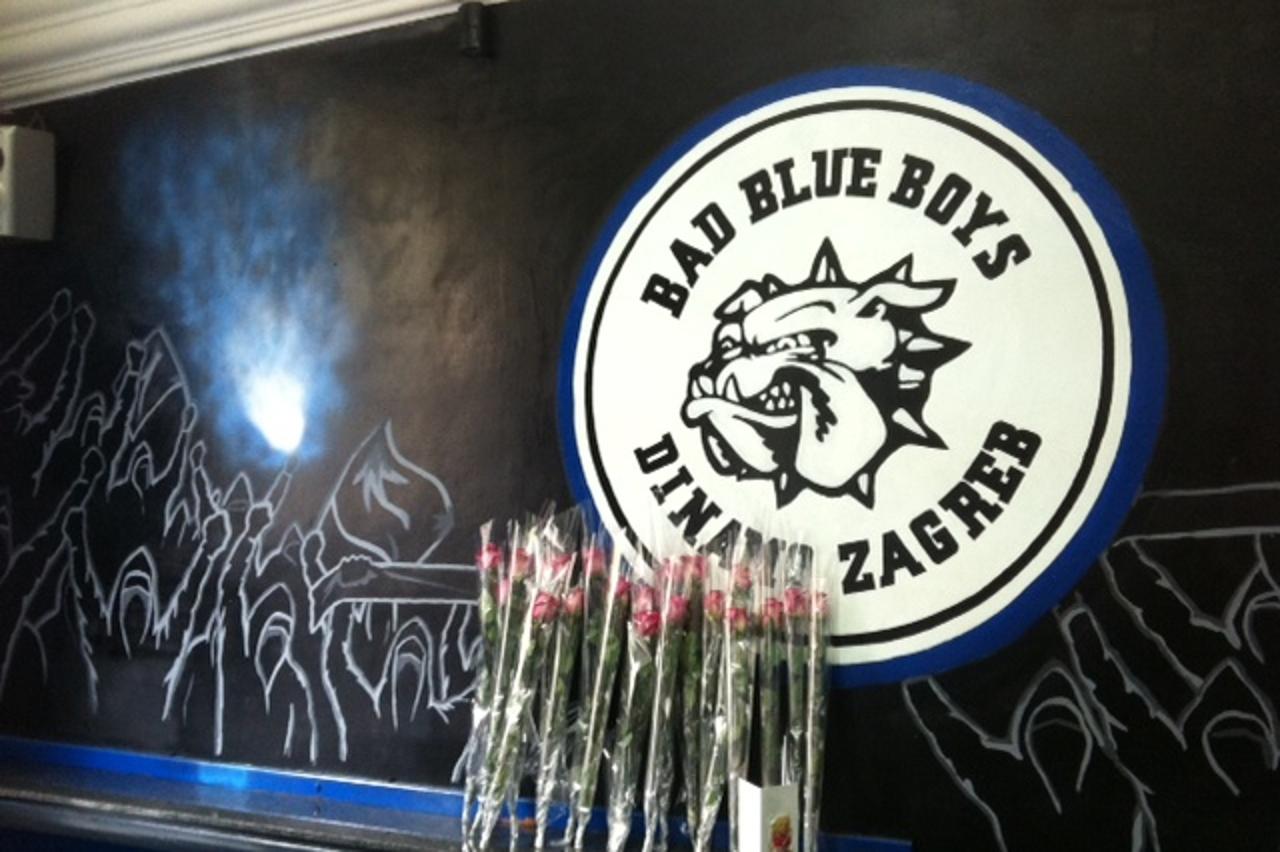 Ruže Dinamo Bad Blue Boys (1)