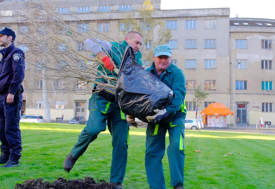 Slučaj magnolije