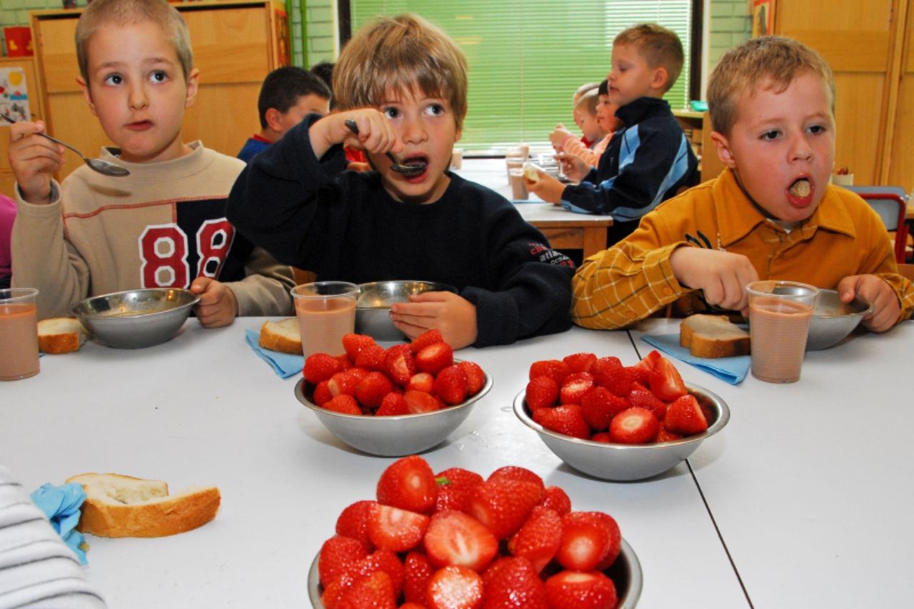 'sla......vinkovci........07.06.2006. vrtic stribor-nedavni napis u vecernjaku pomogao da djeca u vinkovackim vrticima uz rucak imaju i sezonsko voce-danas jagode snimio gordan panic'