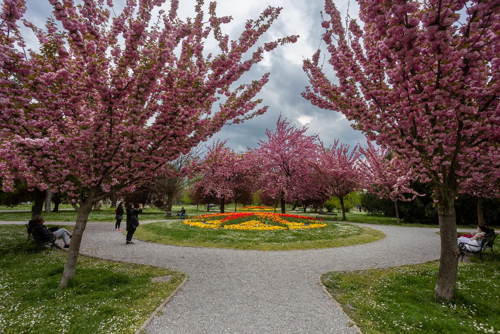 17.04.2023., Osijek - Park kralja Petra Kresimira IV u bojama proljeca. Photo: Davor Javorovic/PIXSELL