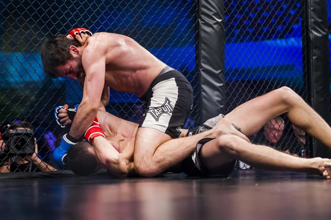 Hrvatska MMA liga (1)