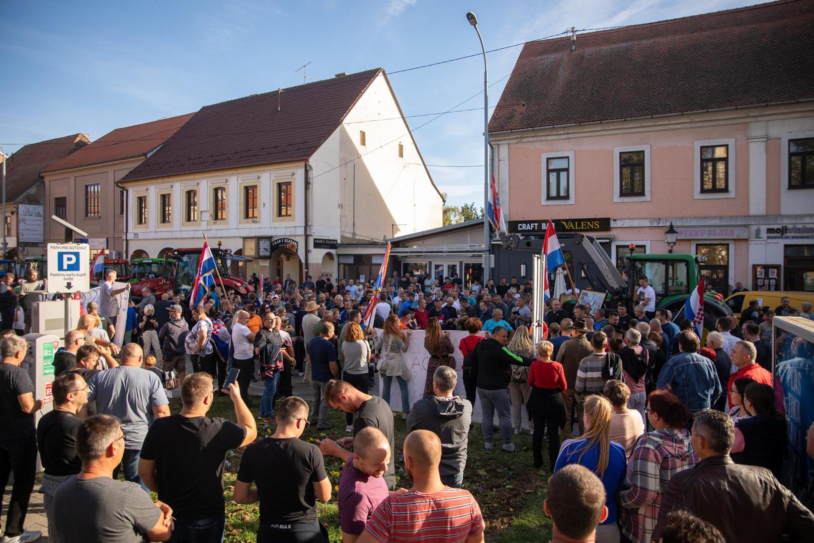 29.10.2023., Vinkovci - Prosvjed svinjogojaca u Vinkovcima zbog africke svinjske kuge. Photo: Borna Jaksic/PIXSELL