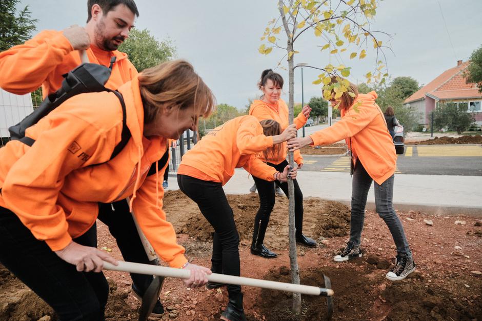 PBZ i Projekt O2 dronom pošumili 10.000 m2 opožarenog područja