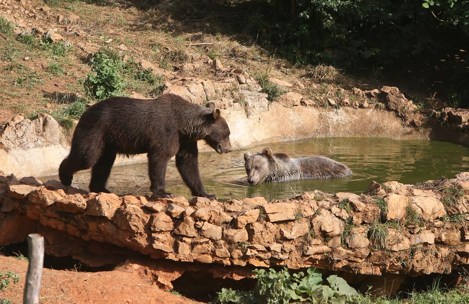 Bogatstvo u raznolikosti Like