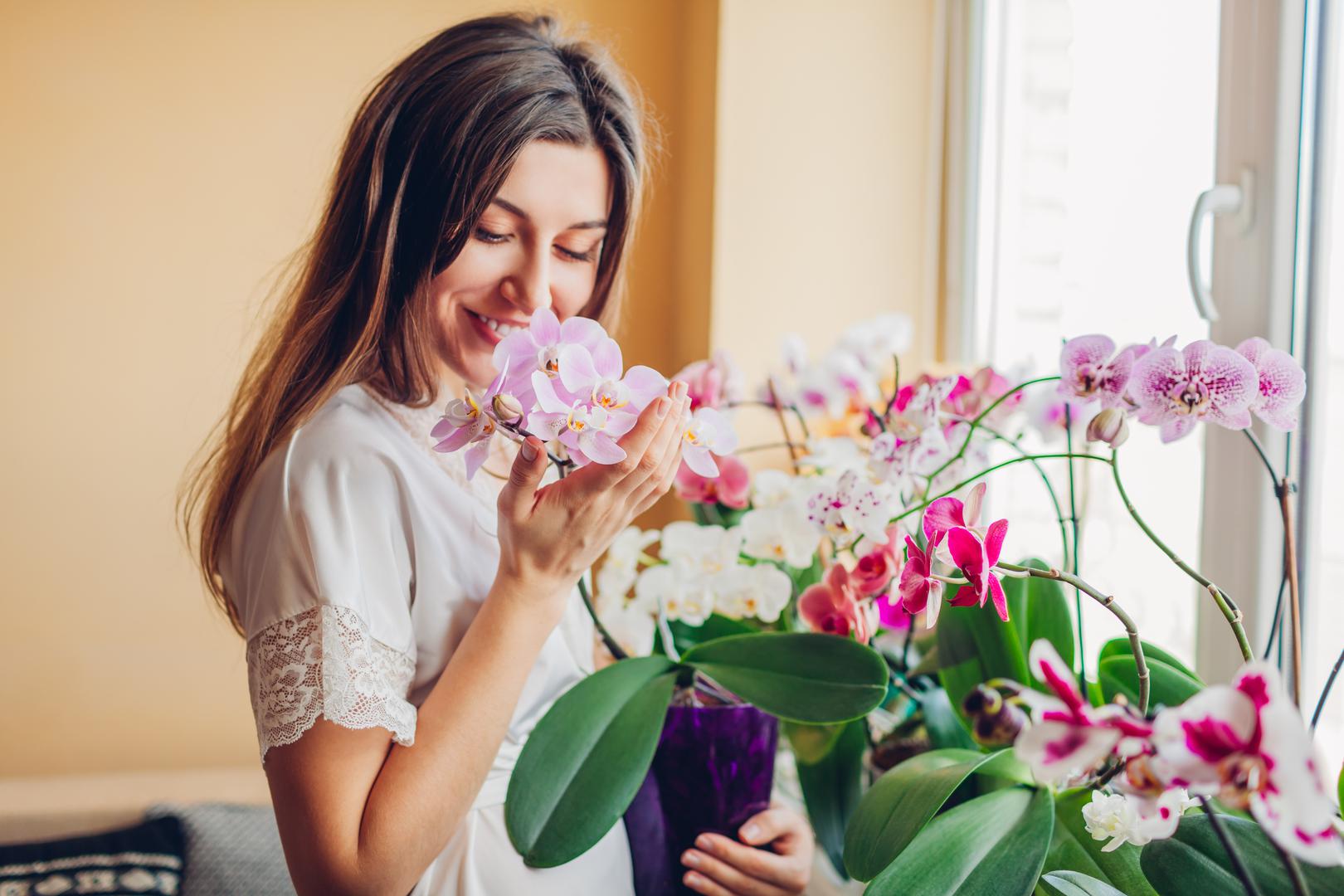 Vodenjak (20. siječnja – 18. veljače) - Orhideje: Orhideje, simbol jedinstvenosti i individualnosti, savršeno odražavaju inovativni duh i nekonvencionalni stil Vodenjaka. Ove biljke dodaju ekskluzivnost i ljepotu u vrt te odražavaju Vodenjakovu želju za originalnošću.