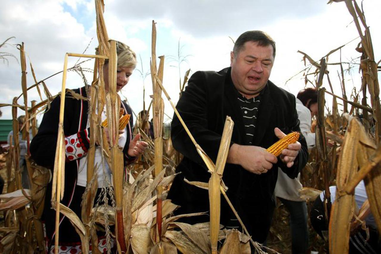 Petar Čobanković (1)