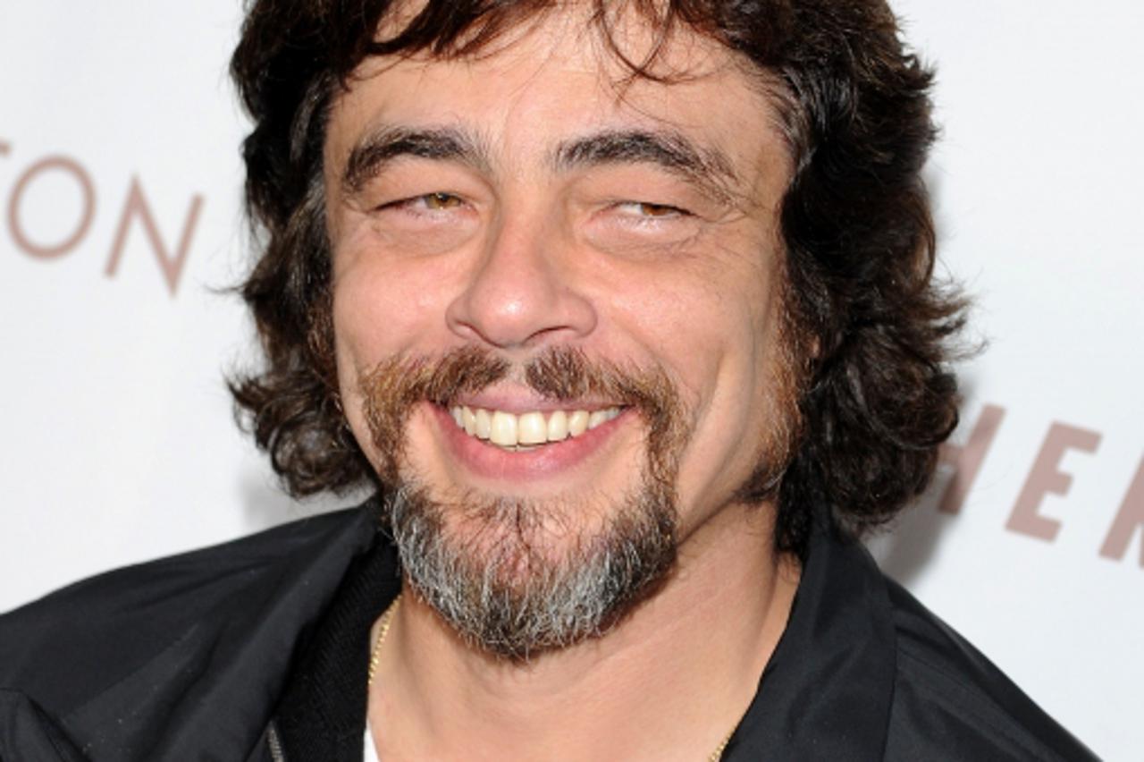 benicio del toro