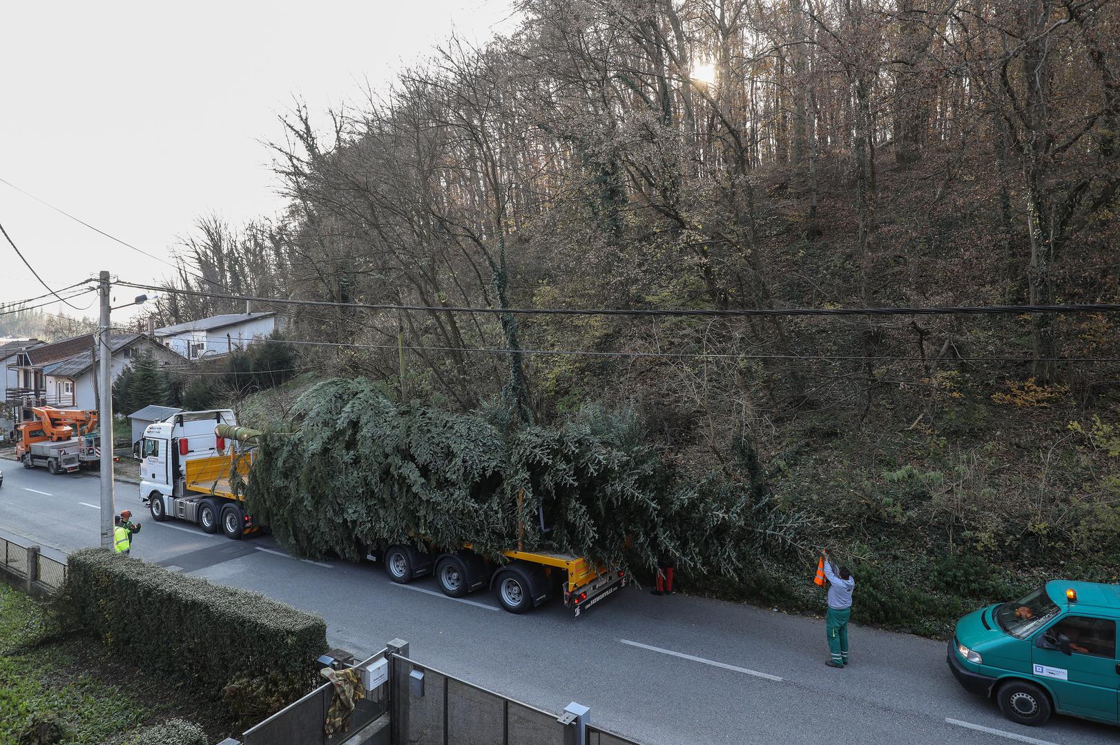 Glavni zagrebački trg ove će godine krasiti 20 metara visoki bor koji je gradu donirao jedan sugrađanin.