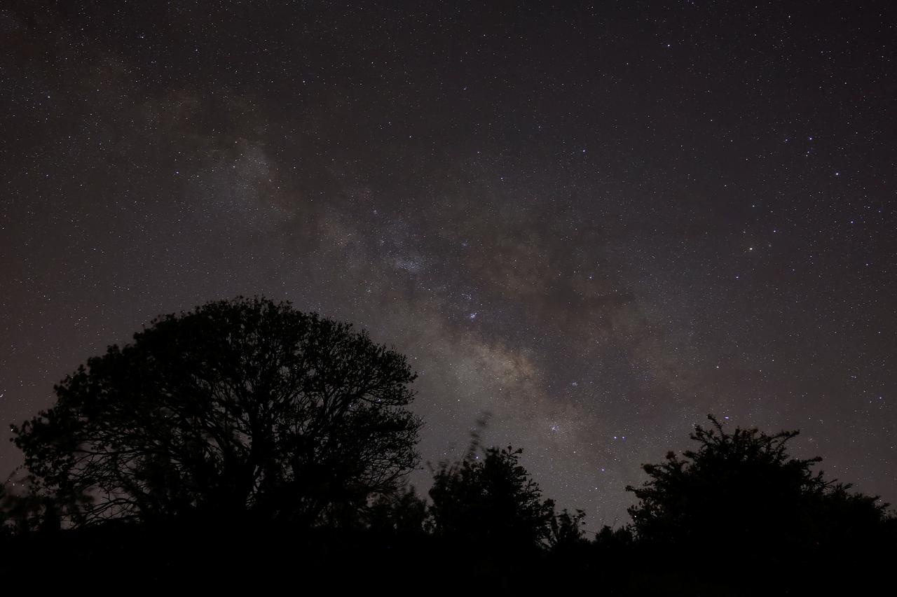 International Astronomy Day