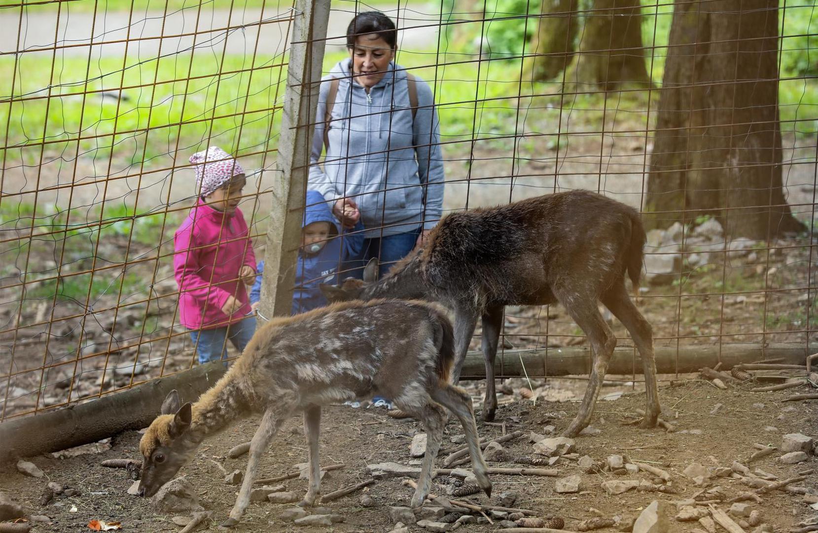 04.06.2020., Delnice, Turisticka patrola Vecernjeg lista, grad Delnice
  Photo: Robert Anic/PIXSELL