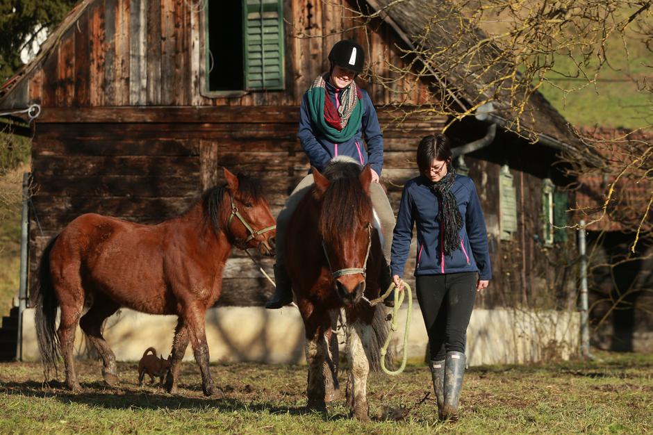 Simunovec, Sesvete - Udruga za terapijsko jahanje Don Kihot, pokrenula uredjenje novog prostora i stala za smjestaj konja