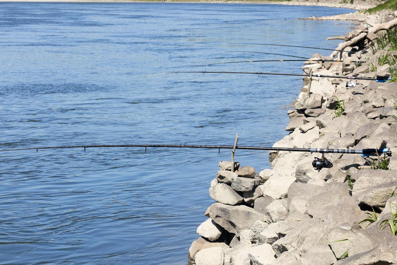 Osijek: Ribiči izašli na rijeku Dravu nakon što je dopušten rekreativni ribolov