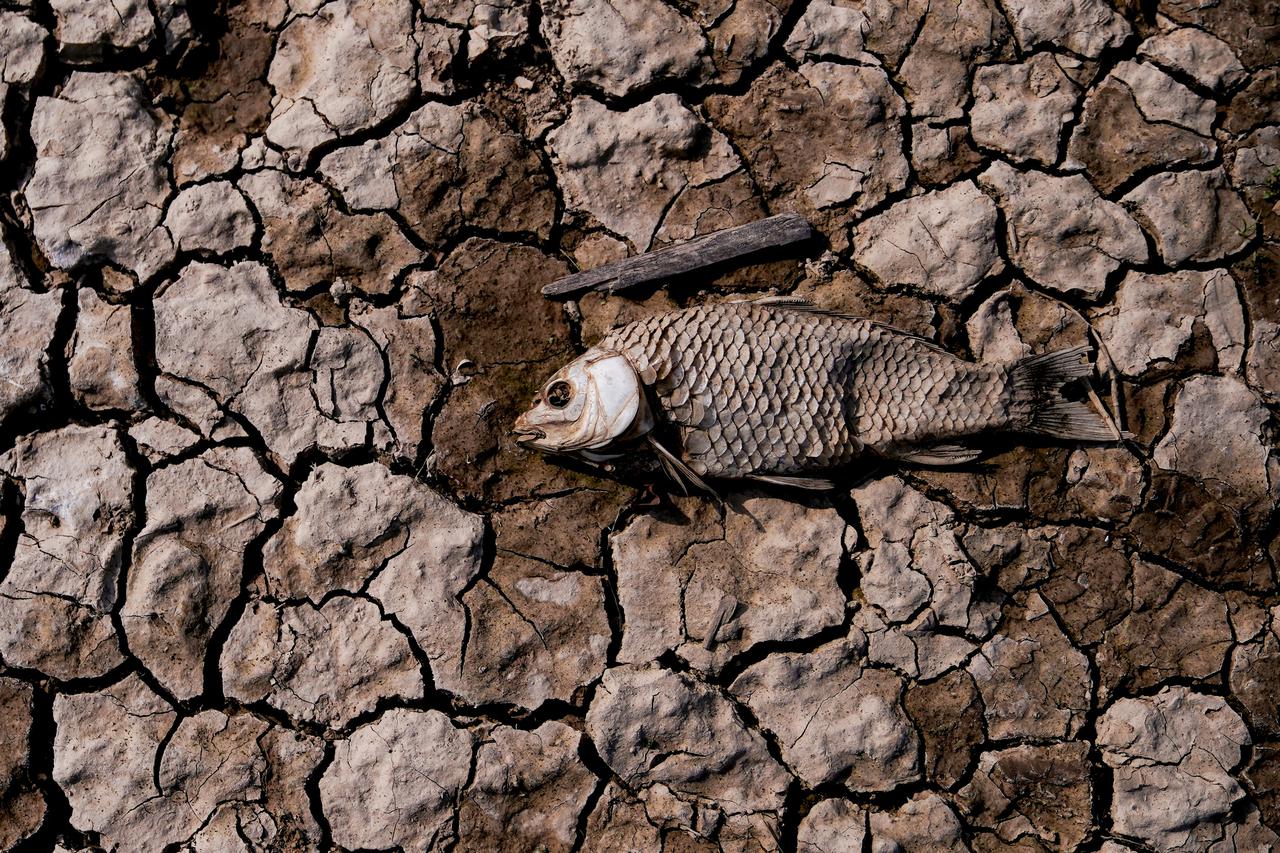 Presušeno jezero u Kini