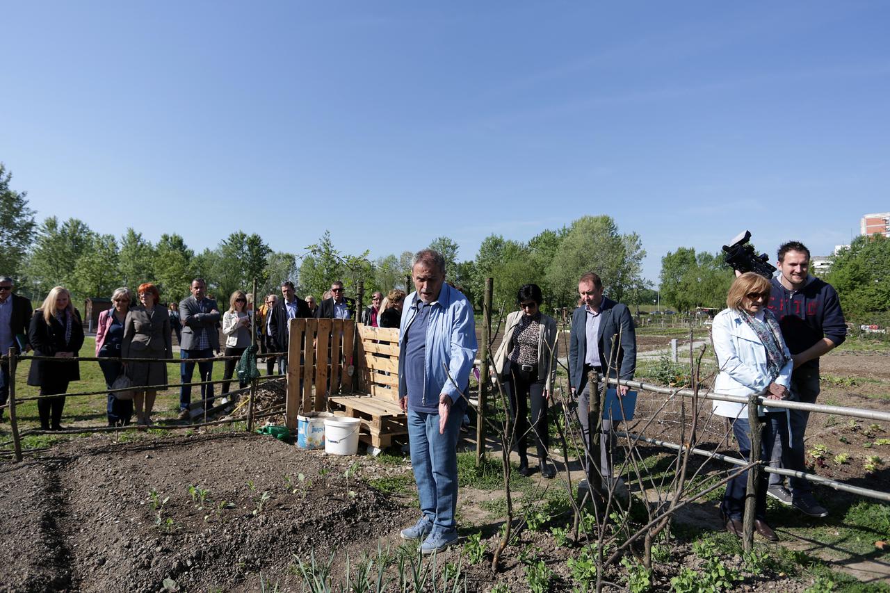 25.04.2015., Zagreb - Gradonacelnik Milan Bandic sa suradnicima je obisao gradske vrtove u ulici Prisavlje na Savici. Photo: Borna Filic/PIXSELL