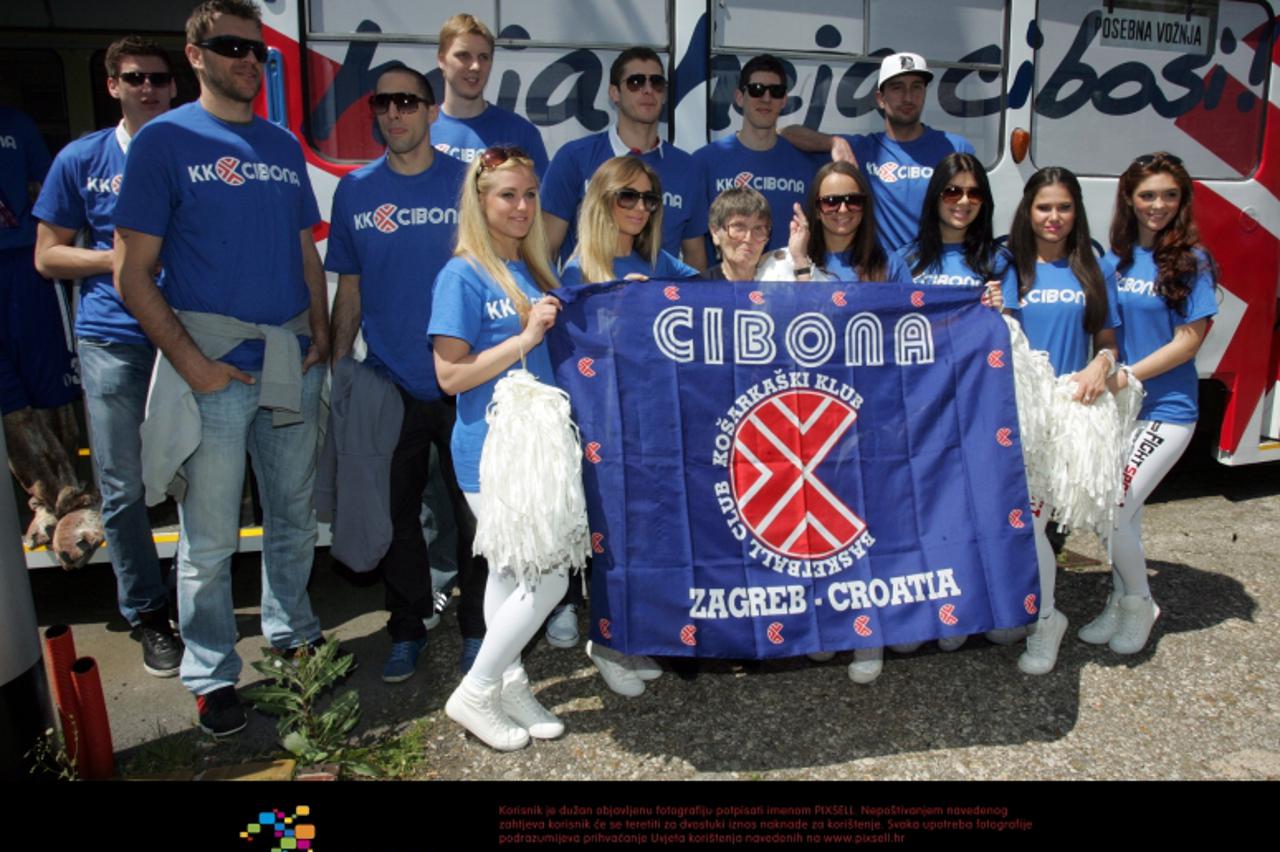 '19.05.2012., Remiza, Zagreb - Kosarkasi KK Cibona vozili su se od Remize do Maksimira te tako promovirali klub te novi tramvaj oslikan sa klupskim obiljezjima Cibone. Photo: Sanjin Strukic/PIXSELL'