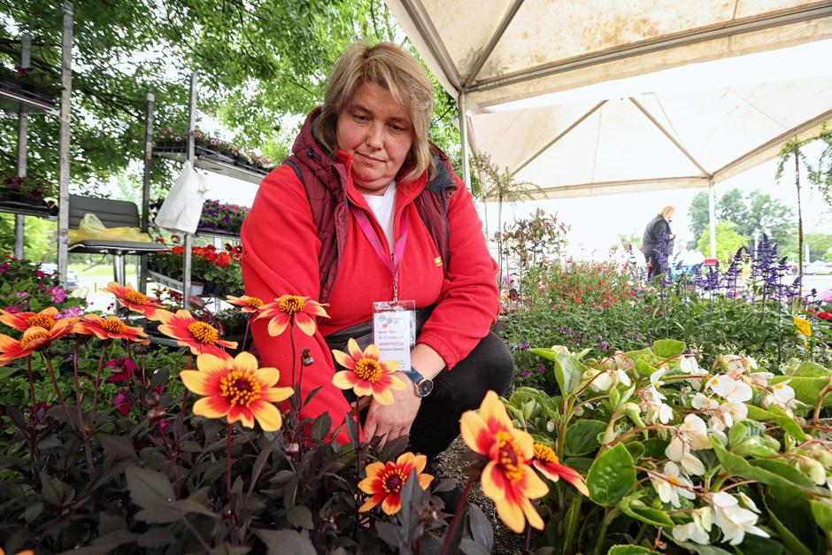 Zagreb: 57. Međunarodna vrtna izložba Floraarta